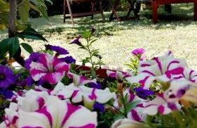 Silos Torrenova - Foto 51