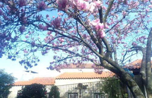 São Braz Terrace - Foto 47