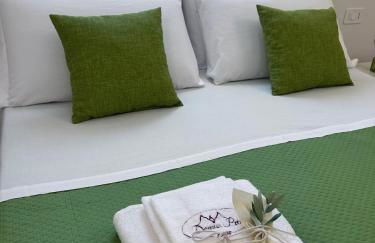 Domus Petri 1908 - Foto 74