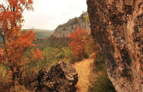 Holiday home with private garden - Foto 34