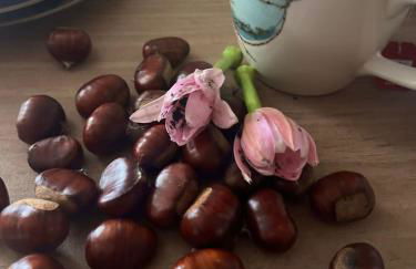 Penedo Casa do Casal Amigo - Foto 44