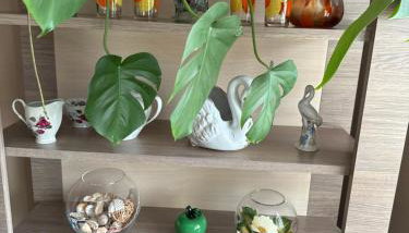 APARTAMENT MAGNOLIA - Foto 4