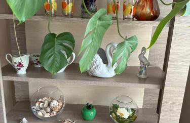 APARTAMENT MAGNOLIA - Foto 4