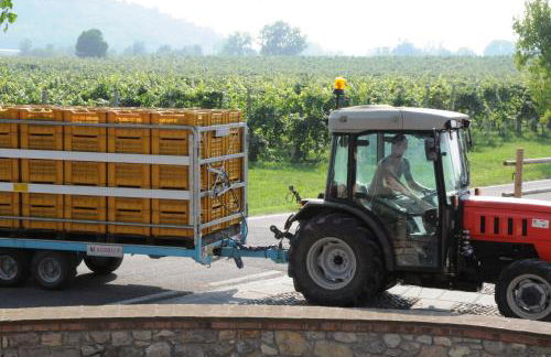 Villa Gradoni - Foto 33