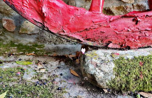 Il Tuo Rifugio a Lucca in Una Storica Casa Toscana - Foto 29