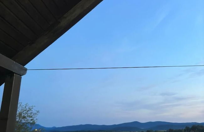 Green Linden - Foto 59