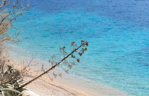 Gorgeous Home In Janjina With Sauna - Foto 41