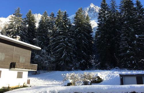 Appartement cosy au pied du MtBlanc - Photo 32