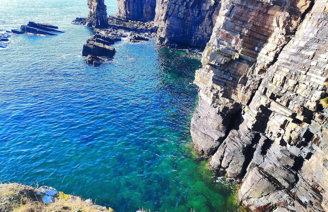 Bespoke Hand Built Shepherds Hut in Dunbeath - Foto 13
