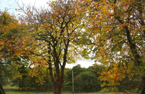 Pirn Mill Self Catering Cottage - Foto 24