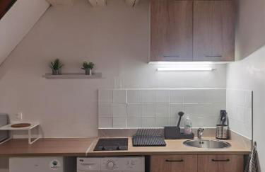 Duplex proche Jardins des plantes - Foto 8