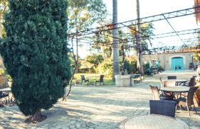 Finca Cas Sant - Foto 18