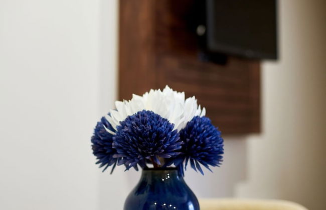 Signature Apartments Os Terceiros - Foto 26