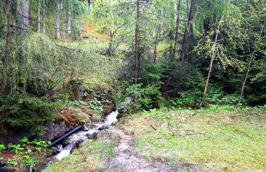 Sul cucuzzolo - Foto 64