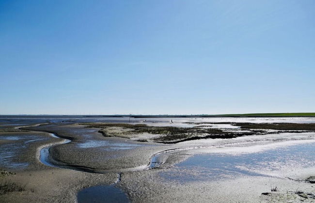 Grandpa Hans Modern Retreat - Foto 8