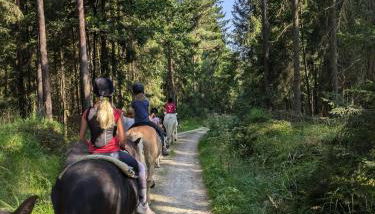 Ponyhof Adam Urlaub auf dem Bauernhof - Photo 3