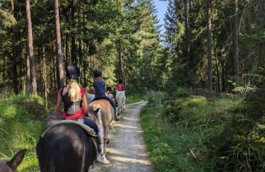Ponyhof Adam Urlaub auf dem Bauernhof - Foto 3