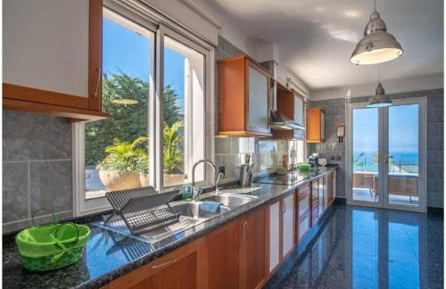 Villa Loureiro Palace With Soccer Field - Foto 33