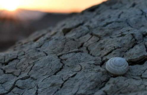 La Piccola Bellezza - Foto 44