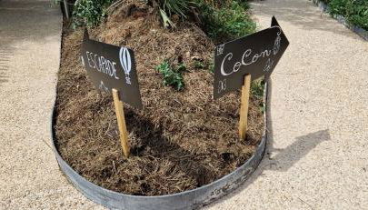 escapade domaine de la grande décision - Foto 2