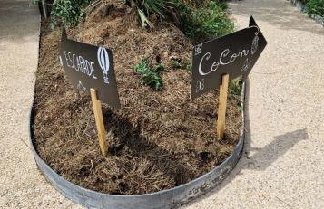 escapade domaine de la grande décision - Foto 2