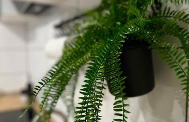 Modernes Apartment am Dreiländereck - Foto 15