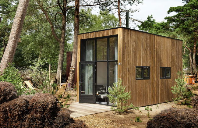 House in Belfeld with swimming pool and terrace - Photo 25