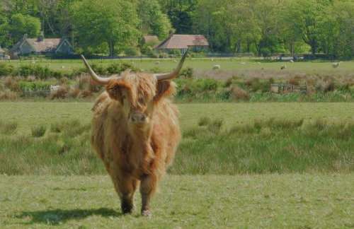 Buttercup Cottage - Foto 7