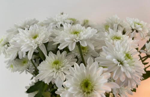 Herman House - Photo 19