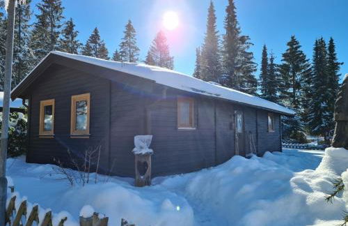 Hüttenflair am See mit Kamin - Foto 34