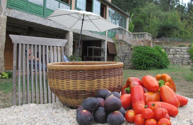 Casa do Cribeiro - Photo 48