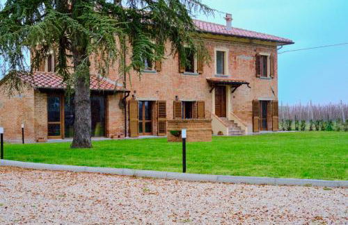 Chicco di grano - Photo 12