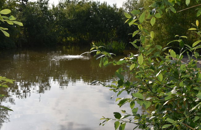 2-bed 18th Century Barn - Sleeps 6 - Pet Friendly - Foto 23