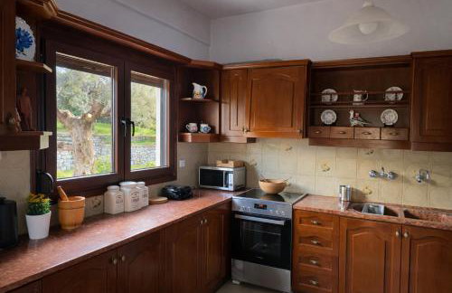 Blue Dandelion - Photo 11