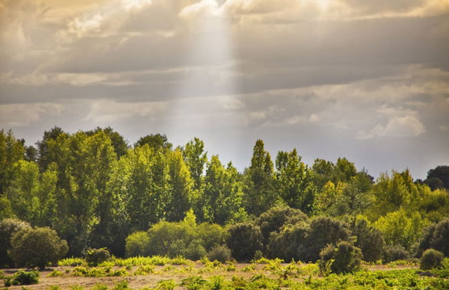 Posada Real del Buen Camino - Foto 49