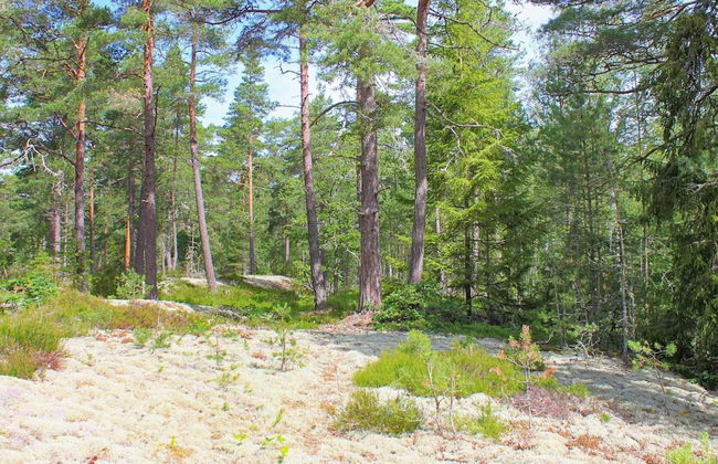 Scenic Lakeside Cottage-by Traum - Foto 4