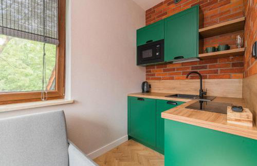 Apartamenty Gajówka- rowery, plac zabaw, sauna, jacuzzi - Foto 40