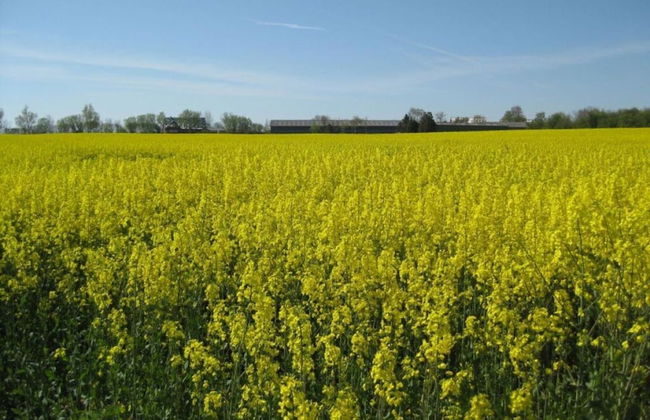 Holiday Apartment Itzke 2 - Foto 13