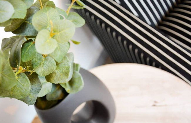 Maple House Bristol - Foto 11