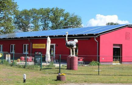 Ruheoase Ahlbeck bei Ueckermünde - Foto 22