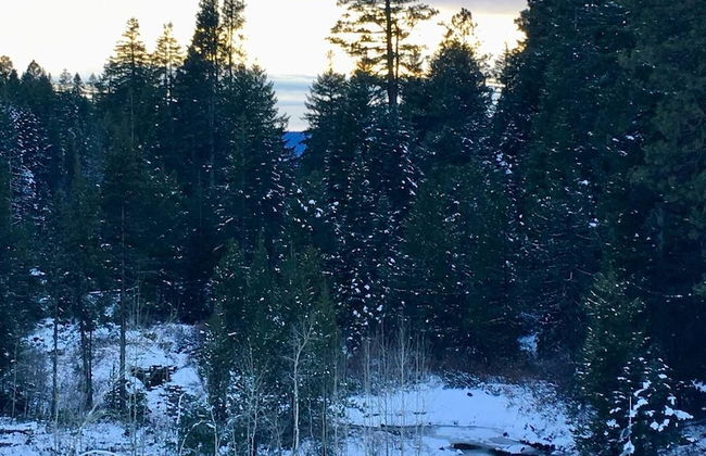 Mountain Pine Cabin - Sleeps 6 - Pet Friendly - Foto 21