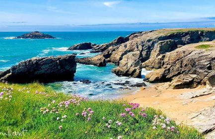 appartement cocon à Quiberon dans résidence calme, plages et centre ville à pied ou à vélo pour 2 à 4 personnes - Foto 21