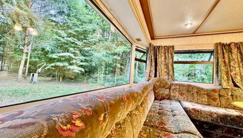 Holenderek Agro-Stajnia - Foto 2