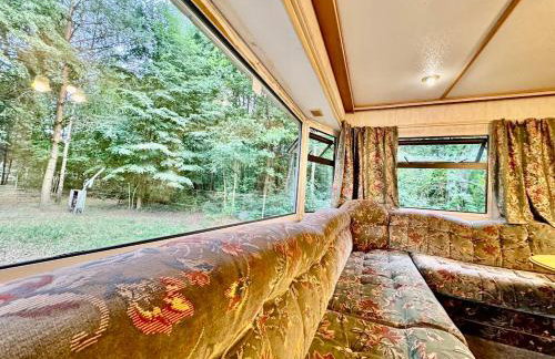 Holenderek Agro-Stajnia - Foto 2