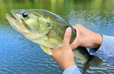 Lake House, Fire Pit, Games Magnolia Lake House - Foto 60