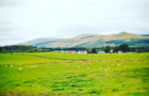 The Wee Stay - Room Only - Rural 1 Bed Guest Suite - Foto 15