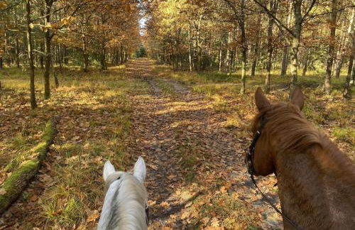 Ferienhaus mit Terrasse - Foto 78