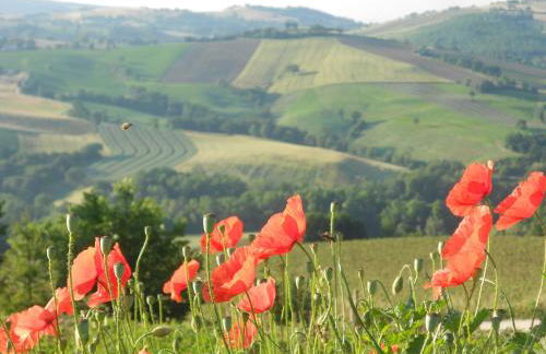 L'Isola Che Non C'era - Foto 3