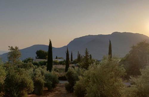 Alojamiento Encarnación - Foto 27