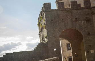 Agriturismo I Bonsi - Foto 16